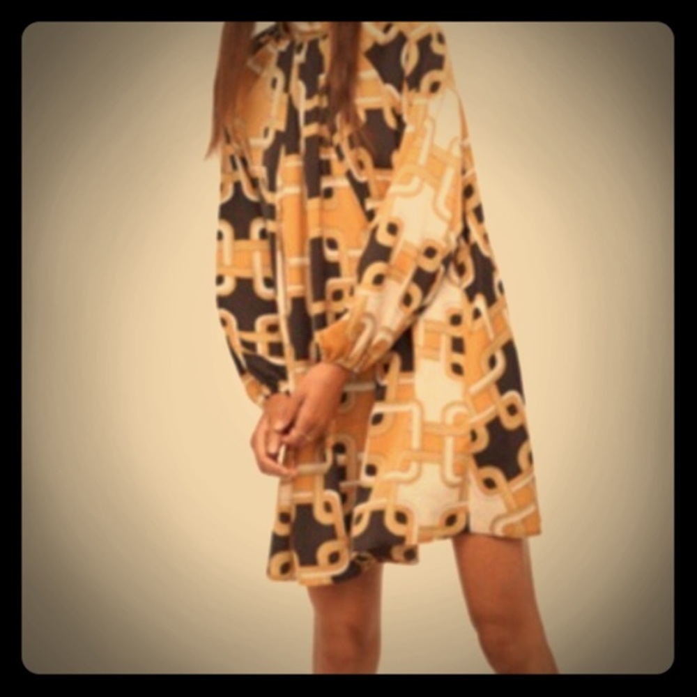 Richard Allen x H & M Silk Dress